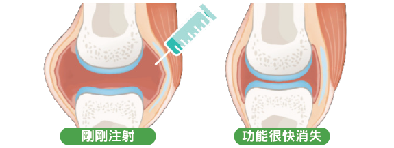 Steroids Diagram Top